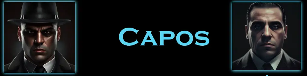 What is an Caporegime in the Mafia? Caporegime section of hierarchy