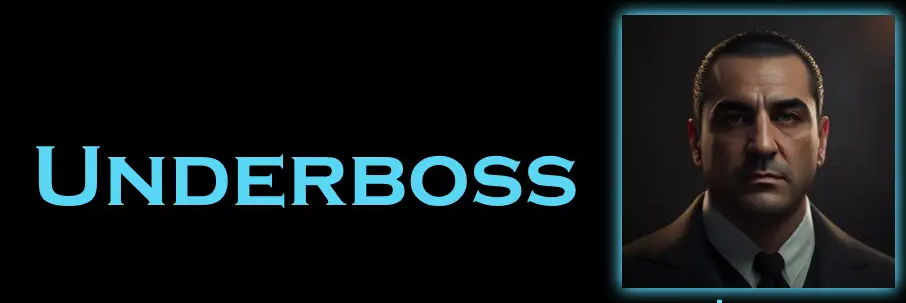 What is an Underboss in the Mafia? Underboss section of hierarchy